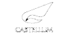 Castellum
