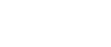 fox fox