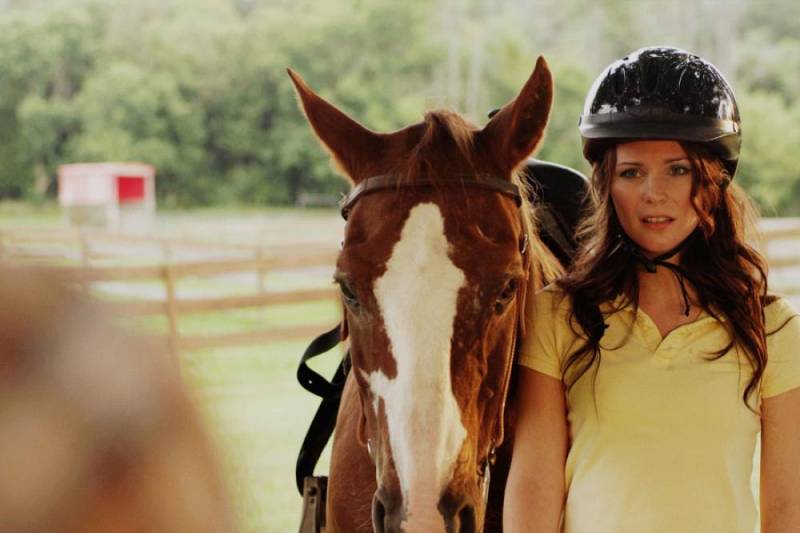 background De Paardenzomer