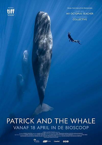background Patrick and the Whale
