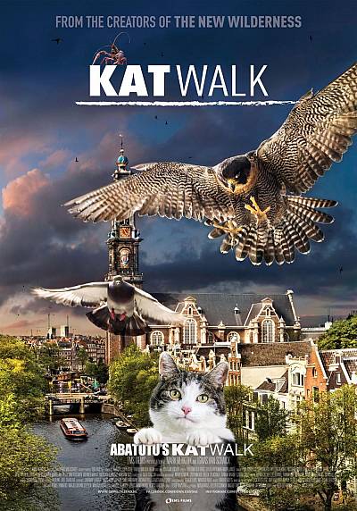 background Katwalk