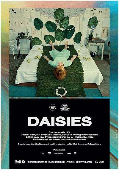 Daisies