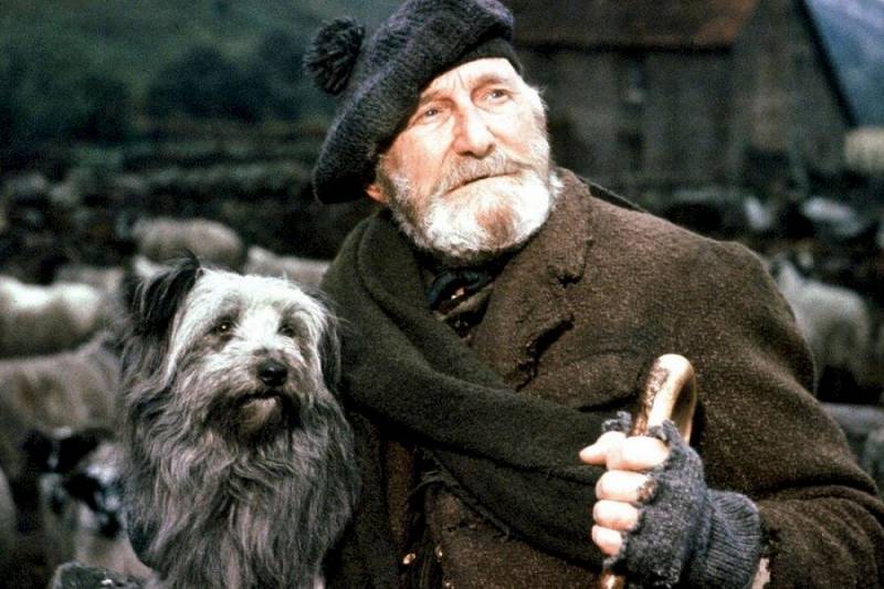 background Greyfriars Bobby