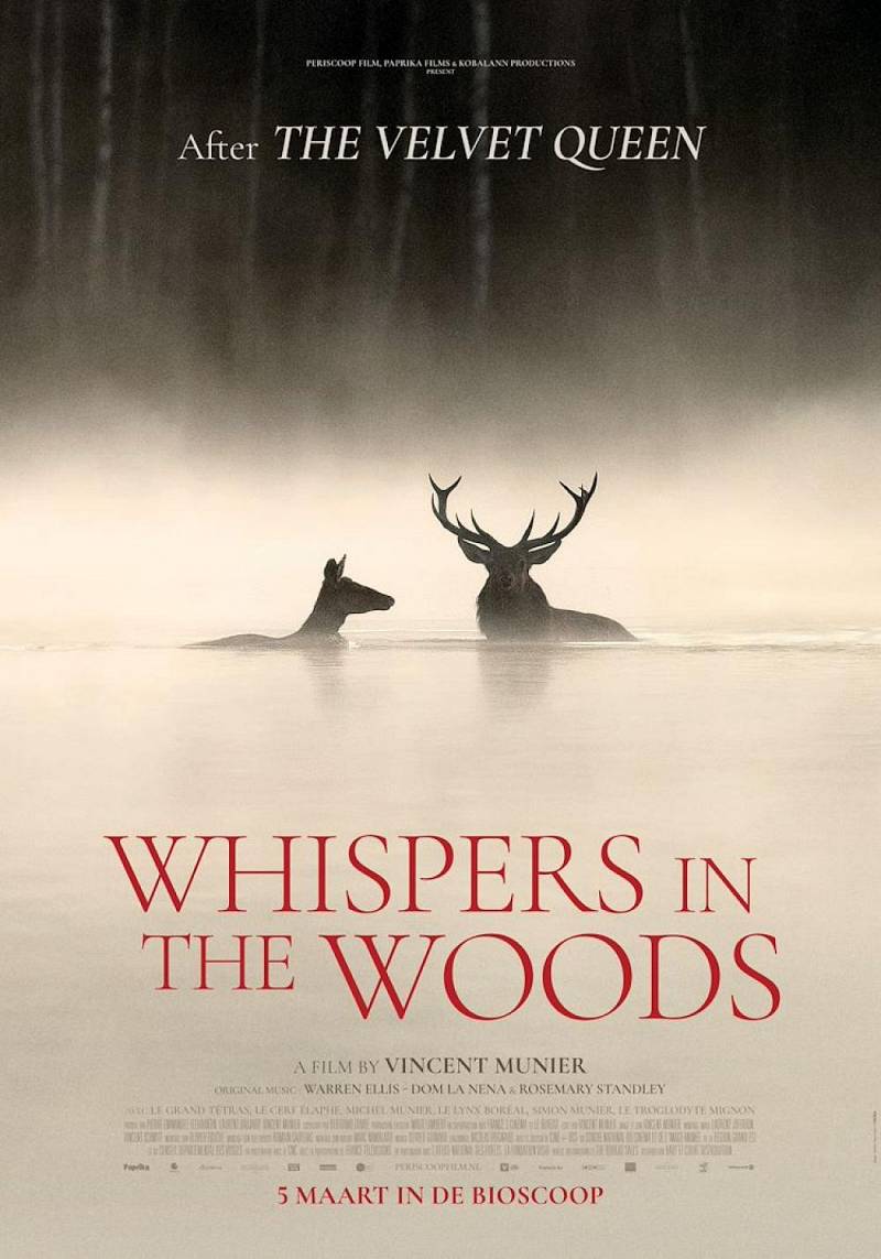 Whispers in the Woods