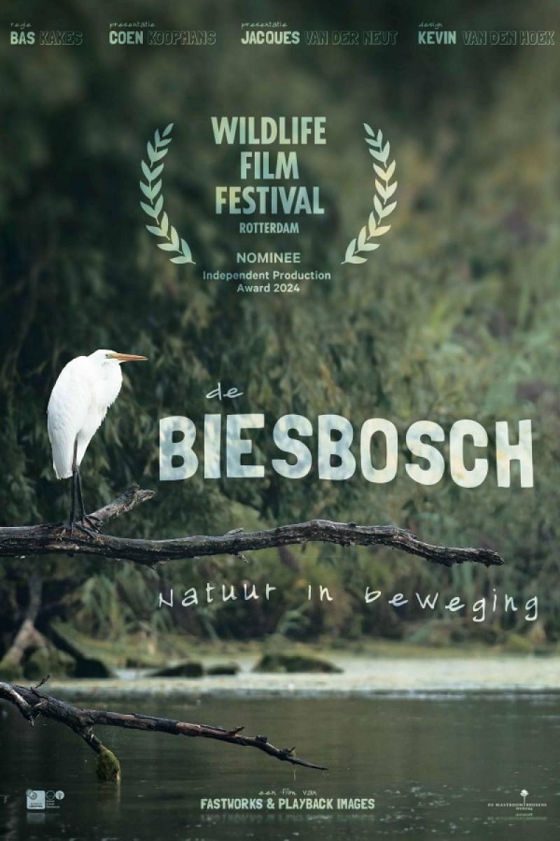 De Biesbosch: Natuur in beweging