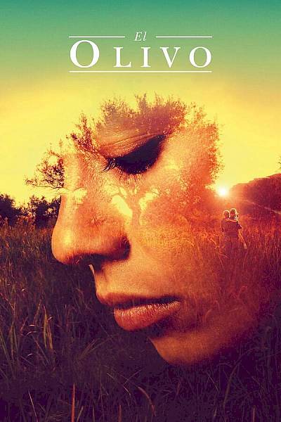 El olivo