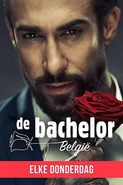 De Bachelor België
