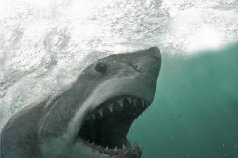 background Air Jaws: Back from the Dead