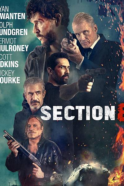 Section 8