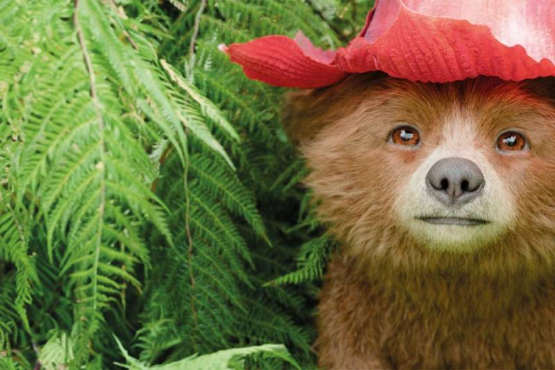 background Paddington in Peru (OV)