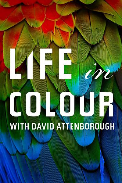 Life in Colour with David Attenborough