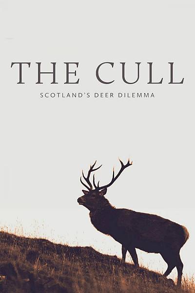 The Cull: Scotland's Deer Dilemma