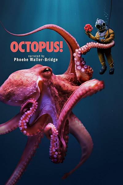Octopus!