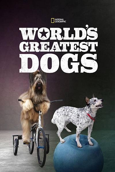 World's Greatest Dogs