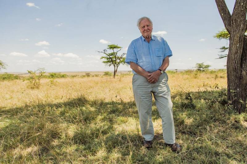 background David Attenborough: A Life on Our Planet