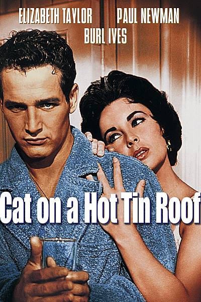 Cat on a Hot Tin Roof