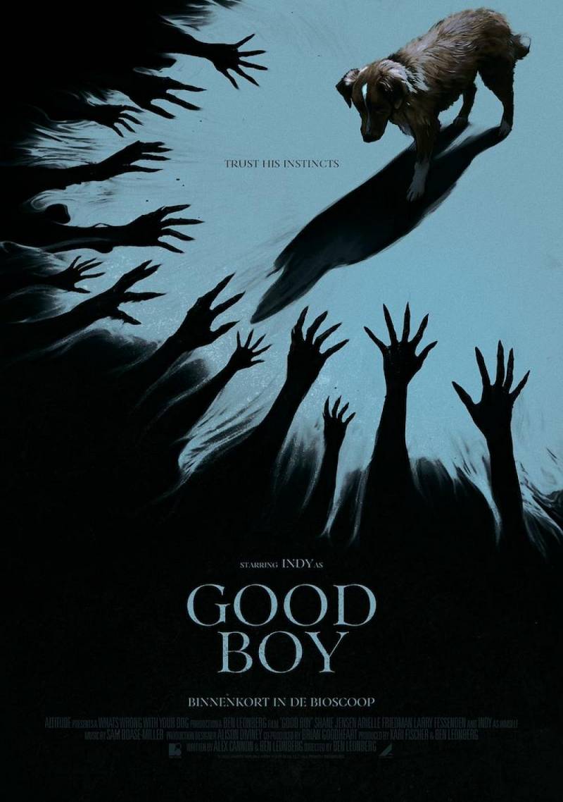 Good Boy
