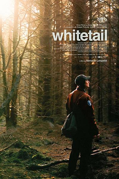 Whitetail