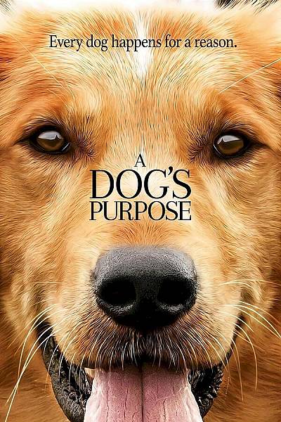 A Dog's Purpose