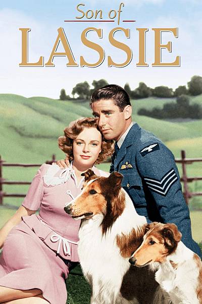 Son of Lassie