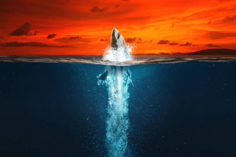 background Air Jaws: Going for Gold
