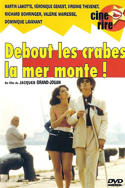 Debout les crabes, la mer monte !