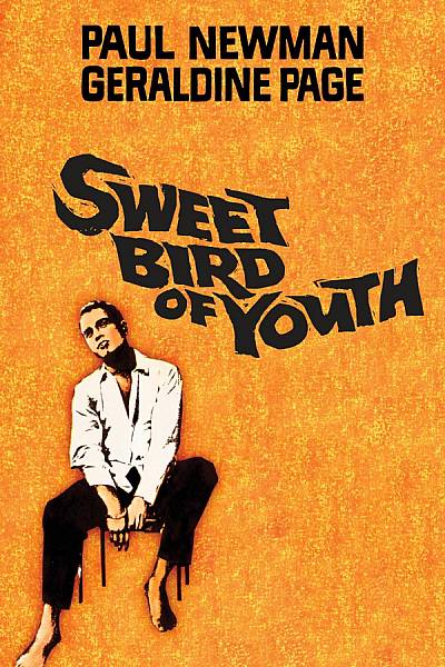 Sweet Bird of Youth