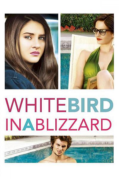 White Bird in a Blizzard