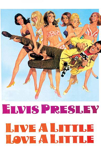 Live a Little, Love a Little