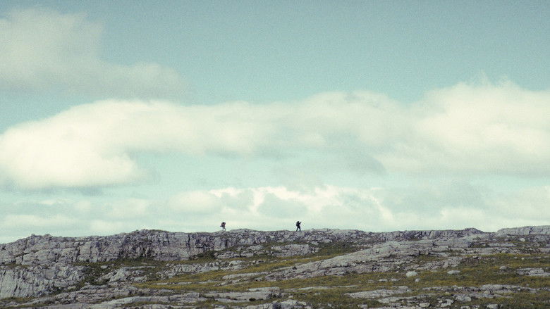 background The North