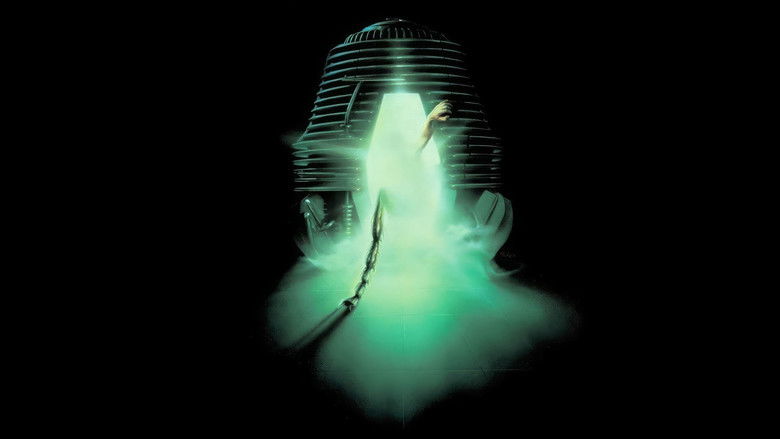 background The Fly