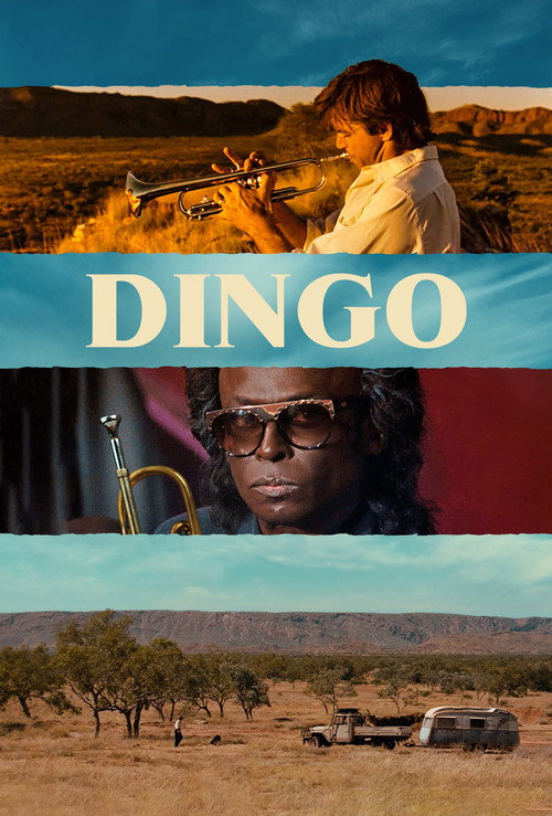 Dingo