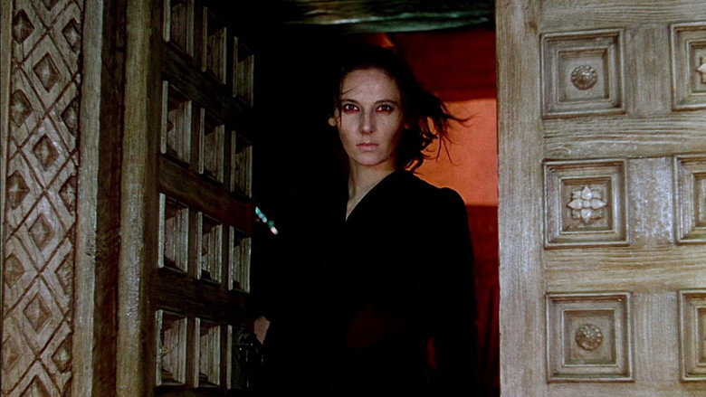 background Black Narcissus