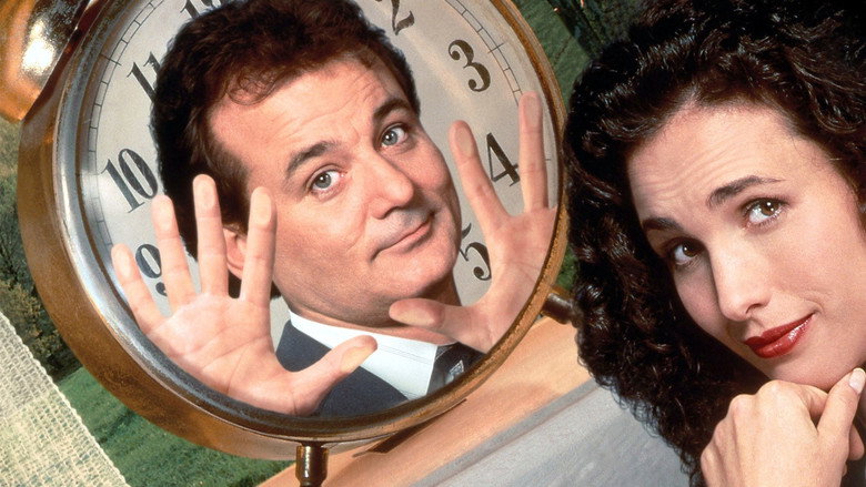 background Groundhog Day