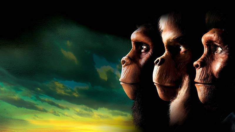 background Planet of the Apes