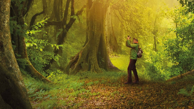 background The Hidden Life of Trees