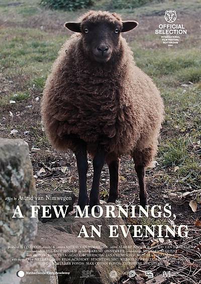 A Few Mornings, an Evening