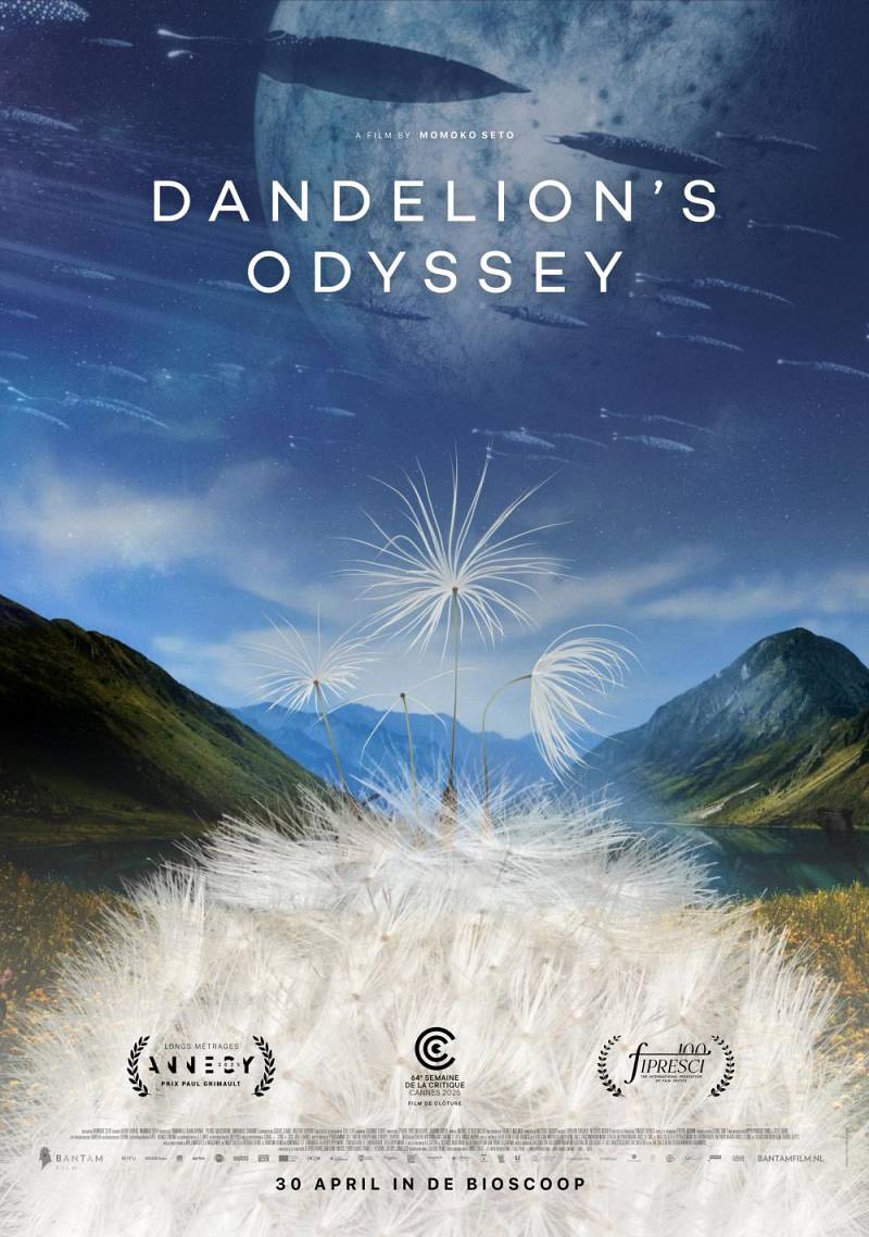 Dandelion's Odyssey