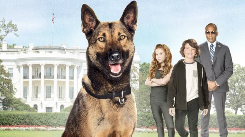 background Max 2: White House Hero