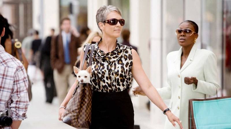background Beverly Hills Chihuahua
