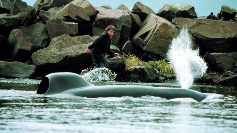 background Free Willy