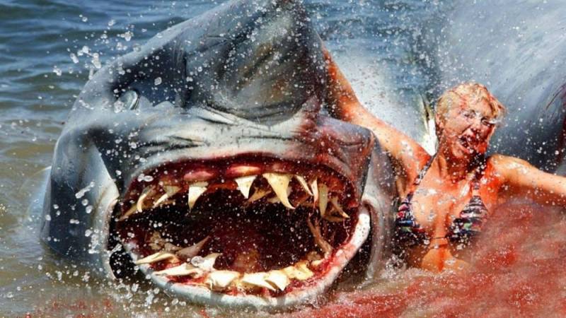 background Shark Attack 2