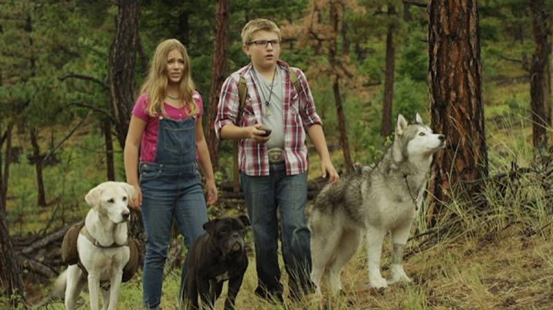 background Timber the Treasure Dog