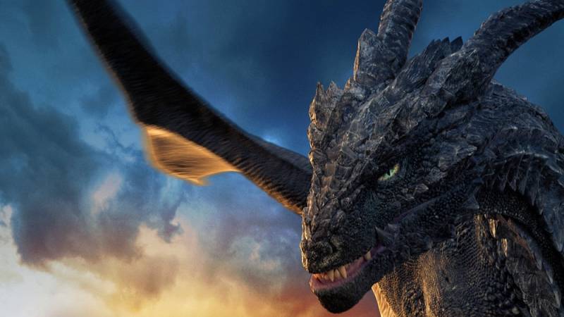 background Dragonheart 3: The Sorcerer's Curse