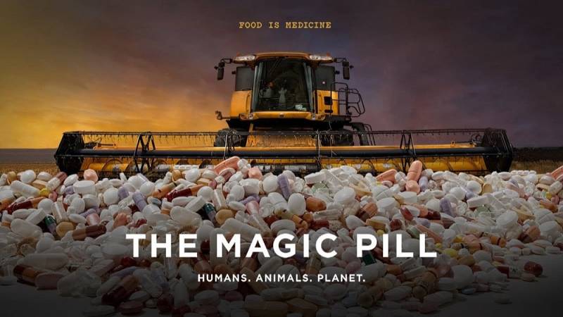 background The Magic Pill