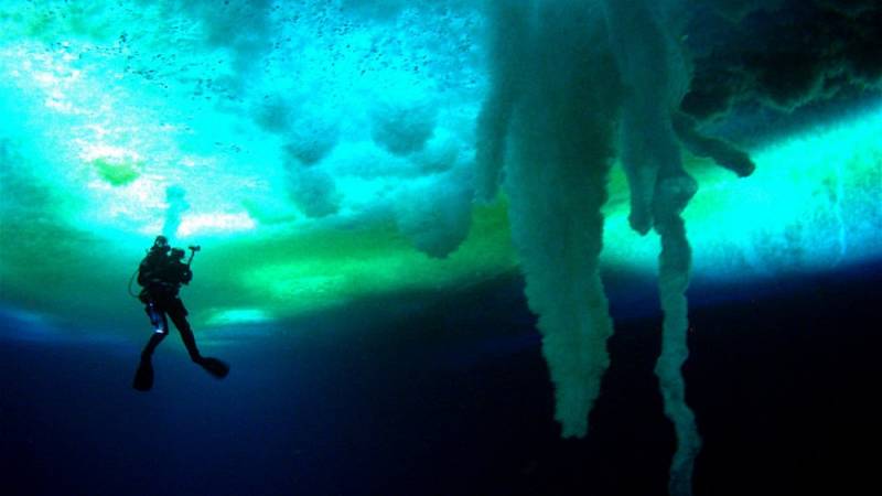 background Encounters at the End of the World
