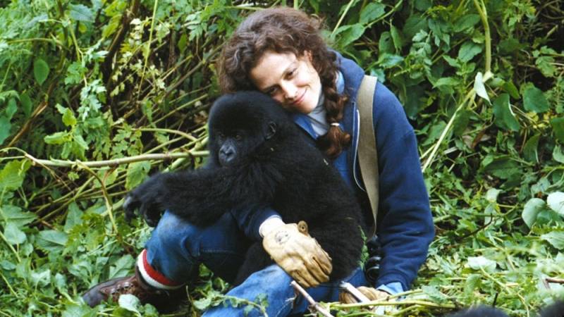 background Gorillas in the Mist: The Adventure of Dian Fossey