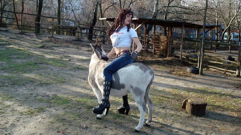 background Klappe Cowboy!