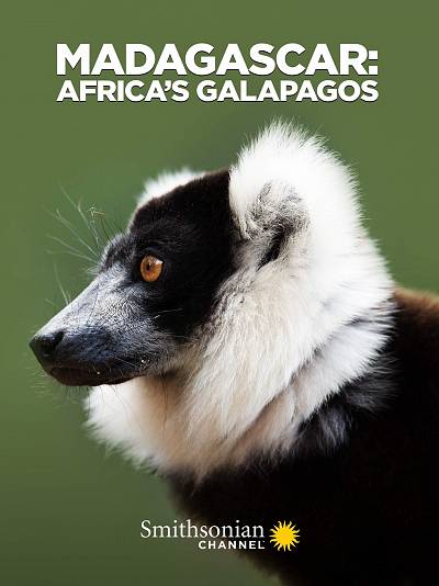 background Nature on Tour: Madagascar