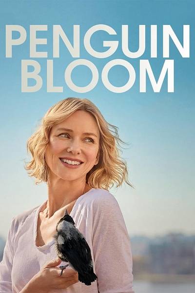 Penguin bloom
